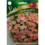 Petunia ogrodowa Kaskada- łososiowa nasiona 0,02g LUX LEGUTKO