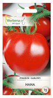 Pomidor Hana 1g karłowy gruntowy nasiona profesjonalne WerbenaArt