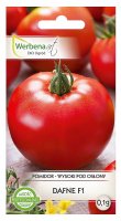 Pomidor Dafne F1 pod osłony 0,1g nasiona profesjonalne WerbenaArt