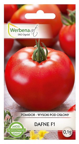 Pomidor Dafne F1 pod osłony 0,1g nasiona profesjonalne WerbenaArt - Kliknij na obrazek aby go zamknąć