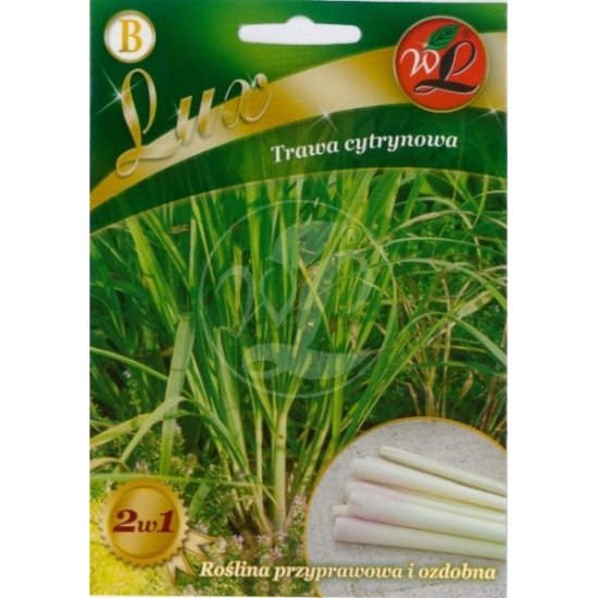 Trawa cytrynowa LUX nasiona 0,2g LEGUTKO e-rosa_pl - Kliknij na obrazek aby go zamknąć