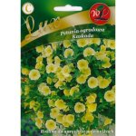 Petunia ogrodowa Kaskada- żółta LUX nasiona 0,02g LEGUTKO