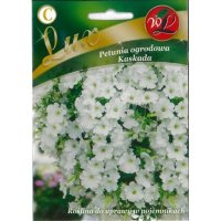 Petunia ogrodowa Kaskada- biała LUX nasiona 0,02g LEGUTKO