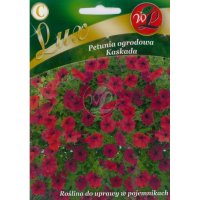 Petunia ogrodowa Kaskada- wiśniowa LUX nasiona 0.02g LEGUTKO