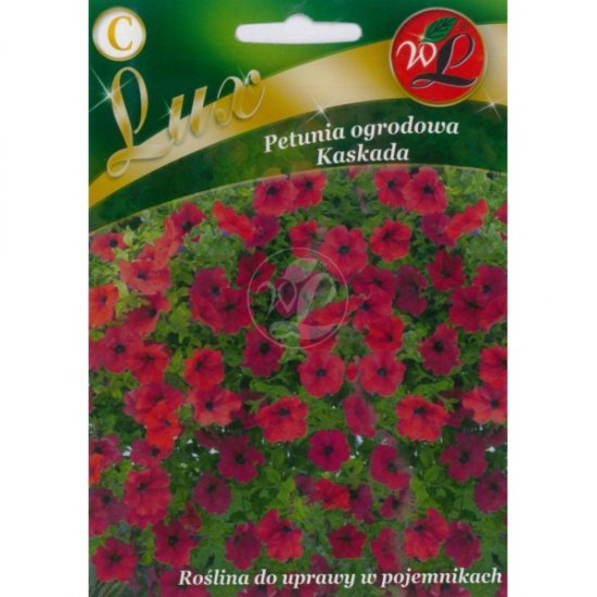 Petunia ogrodowa Kaskada- wiśniowa LUX nasiona 0.02g LEGUTKO - Kliknij na obrazek aby go zamknąć