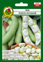 Bób White Windsor bardzo plenny nasiona 50g PNOS
