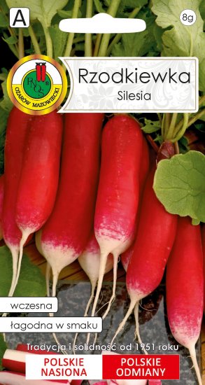 Rzodkiewka Silesia nasiona 500g PNOS Ożarów - Kliknij na obrazek aby go zamknąć