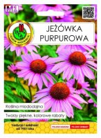 Jeżówka Purpurowa miododajna nasiona 1g PNOS