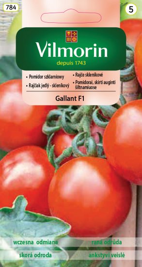 Pomidor Gallant szklarniowy do szklarni i tuneli F1 nasiona 0,2g VILMORIN - Kliknij na obrazek aby go zamknąć