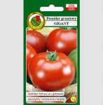 Pomidor Gigant gruntowa odmiana duże smaczne owoce nasiona 1g PNOS