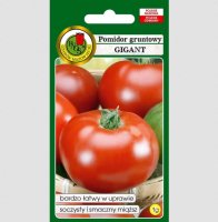 Pomidor Gigant gruntowa odmiana duże smaczne owoce nasiona 1g PNOS