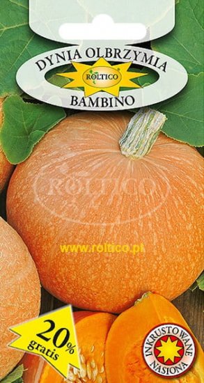 Dynia Olbrzymia Bambino nasiona inkrustowane zaprawiane ROLTICO 3g - Kliknij na obrazek aby go zamknąć