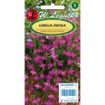 Lobelia zwisła czerwona nasiona 0,1g LEGUTKO e-rosa_pl