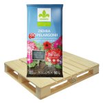 KRONEN 51xZiemia do pelargonii surfinii kwiaty 50L