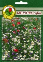Kwiatowa Łąka nasiona 20g PNOS Ożarów Łąka kwietna