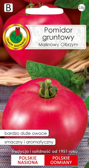 Pomidor Malinowy Olbrzym gruntowy wyjątkowo smaczny nasiona 1g PNOS - Kliknij na obrazek aby go zamknąć