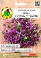 Nasiona na kiełki burak liściowy czerwony PNOS 10g