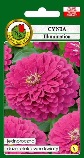 Cynia daliowa Illumination różowa nasiona 1g PNOS - Kliknij na obrazek aby go zamknąć