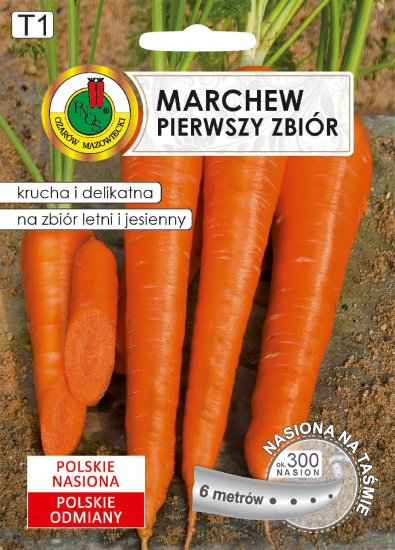 Marchew Pierwszy Zbiór nasiona na taśmie PNOS - Kliknij na obrazek aby go zamknąć