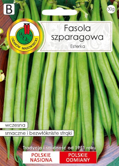 Fasola Esterka szparagowa zielona nasiona 50g PNOS - Kliknij na obrazek aby go zamknąć