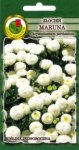 Złocień maruna SnowBall biały nasiona 0,3g PNOS