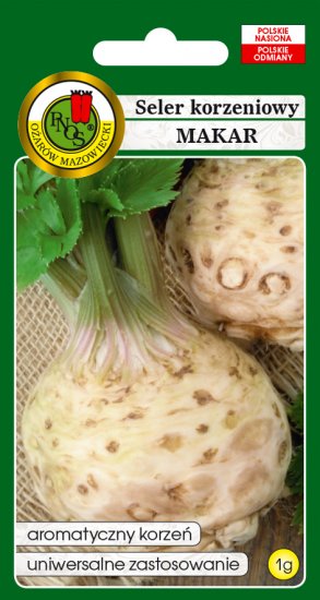 Seler Makar korzeniowy aromatyczny nasiona 1g PNOS - Kliknij na obrazek aby go zamknąć