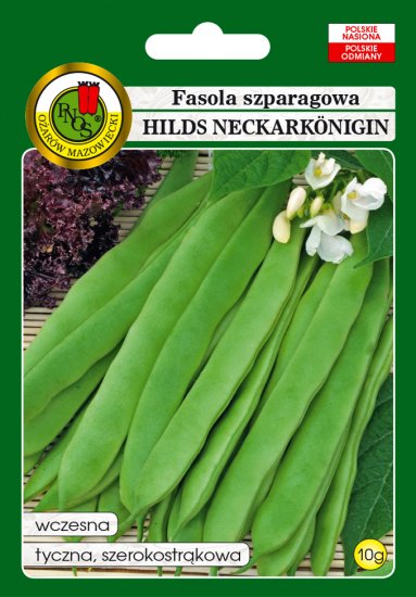Fasola Hilds Neckarkonigin szparagowa tyczna nasiona 10g PNOS - Kliknij na obrazek aby go zamknąć