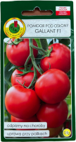 Pomidor Gallant szklarniowy do szklarni tuneli F1 nasiona 0,1g PNOS