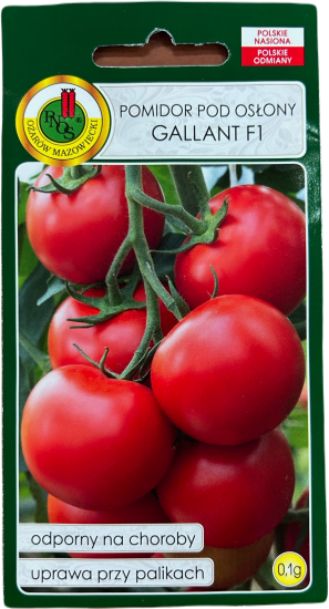 Pomidor Gallant szklarniowy do szklarni tuneli F1 nasiona 0,1g PNOS - Kliknij na obrazek aby go zamknąć