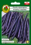 Fasola szparagowa Purple Teepee nasiona 30g PNOS