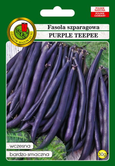 Fasola szparagowa Purple Teepee nasiona 30g PNOS - Kliknij na obrazek aby go zamknąć