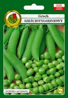 Groch Sześciotygodniowy łuskowy bardzo wczesny nasiona 50g PNOS