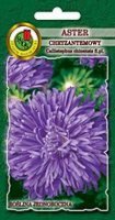 Aster chryzantemowy niebieski nasiona 0,8g PNOS