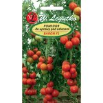Pomidor Baron odmiana szklarniowa do szklarni i tunelii 0,1g LEGUTKO