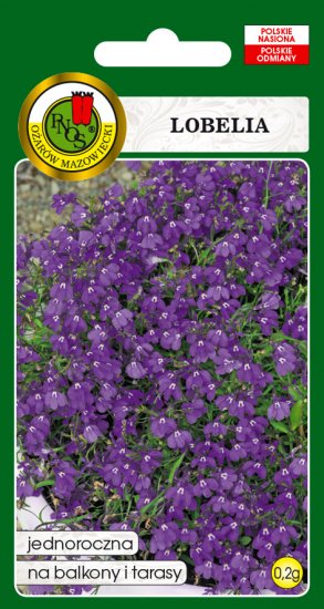 Lobelia Mitternachtsblau fioletowa nasiona 0,2g PNOS - Kliknij na obrazek aby go zamknąć