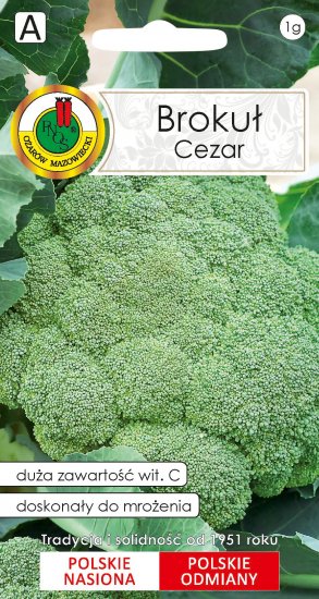 Brokuł Cezar najwięcej witaminy C nasiona 2g PNOS - Kliknij na obrazek aby go zamknąć