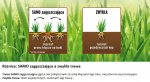 Trawa SUBSTRAL samozagęszczająca UNIWERSALNA 1kg