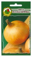 Cebula Sochaczewska nasiona 100g PNOS Ożarów