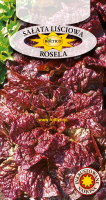 Sałata liściowa Rosela ROLTICO 1g