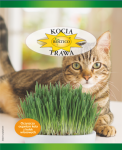 Kocia trawa ROLTICO 25g