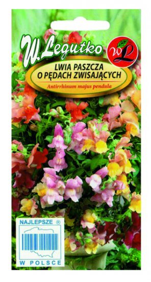 Lwia paszcza o pędach zwisających mieszanka nasiona LEGUTKO - Kliknij na obrazek aby go zamknąć