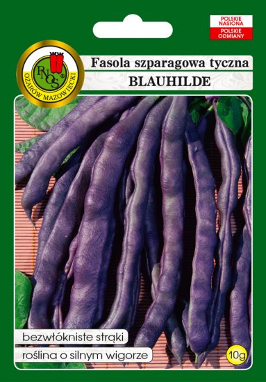 Fasola Blauhilde szparagowa tyczna nasiona 10g PNOS - Kliknij na obrazek aby go zamknąć
