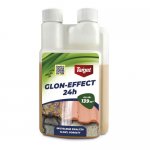 Glon-Effect 24h 250ml 139m2 zwalcza glony porosty TARGET