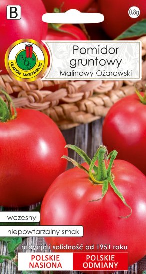 Pomidor Malinowy Ożarowski gruntowy wczesny wspaniały smak nasiona 10g PNOS - Kliknij na obrazek aby go zamknąć
