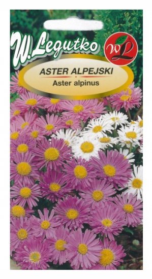 Aster alpejski - mieszanka nasiona 0,3g LEGUTKO - Kliknij na obrazek aby go zamknąć