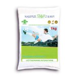 Trawa Iława Meszanka SPORTOWA 1kg karton