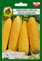 Kukurydza cukrowa Złota Karłowa bardzo wczesna nasiona 20g PNOS