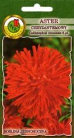 Aster chryzantemowy czerwony nasiona 0,8g PNOS