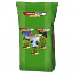 Trawa BARENBRUG Trawnik Polski SPORT 5kg 100% ORYGINAŁ