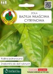 Bazylia Cytrynowa zioła nasiona ziół PNOS 0,5g